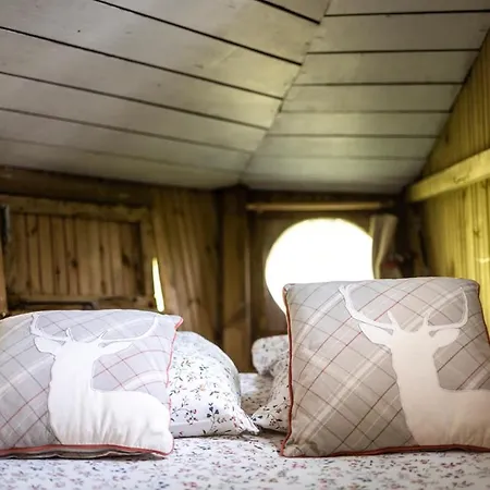 Dihan Evasion Chalet Ploemel